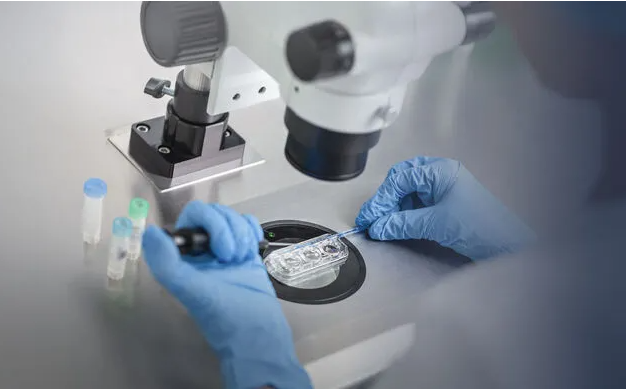 Cryopreservation
