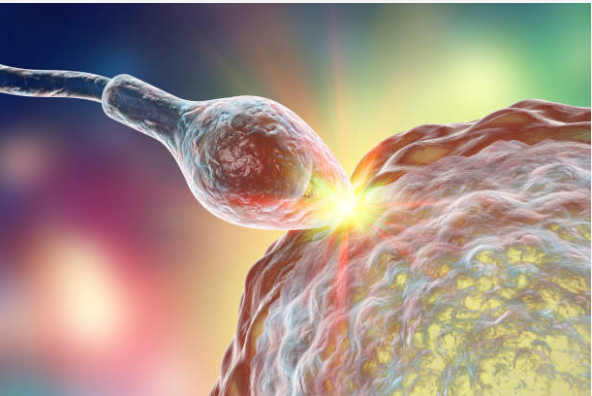 The future of fertility care